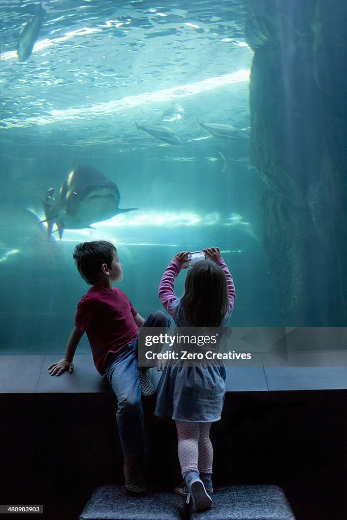 Young brother and sister photographing on camera phone at aquarium