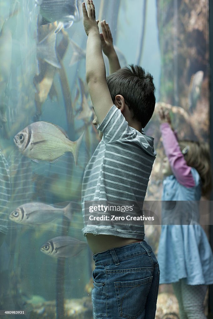 Young brother and sister looking at tropical fish in aquarium