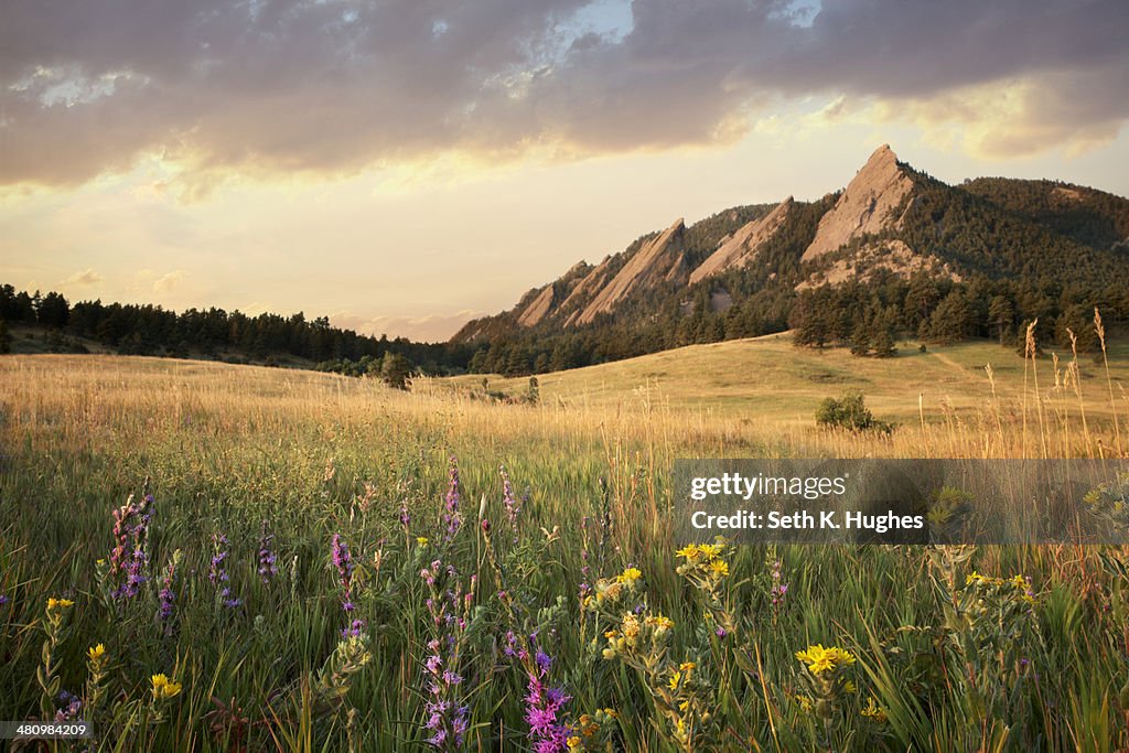 Scenic view of meadow and mountains, Boulder, Colorado, USA