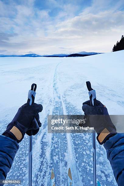 male arms holding skipoles in vast landscape, colter bay, wyoming, usa - colter bay stock pictures, royalty-free photos & images