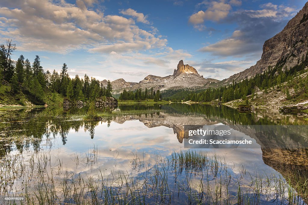 Dolomites charm