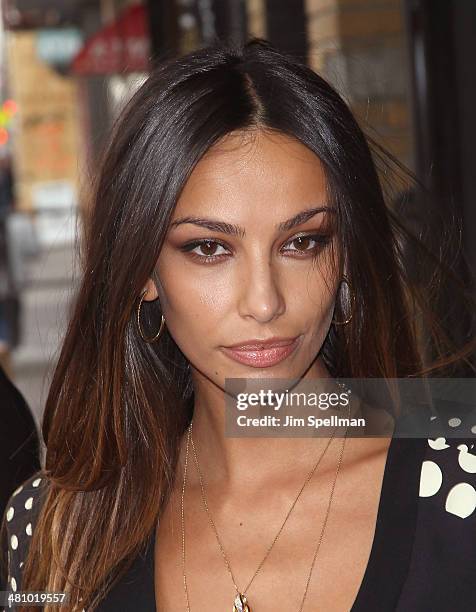 Actress Madalina Diana Ghenea attends the Fox Searchlight Pictures' "Dom Hemingway" screening hosted by The Cinema Society And Links Of London on...
