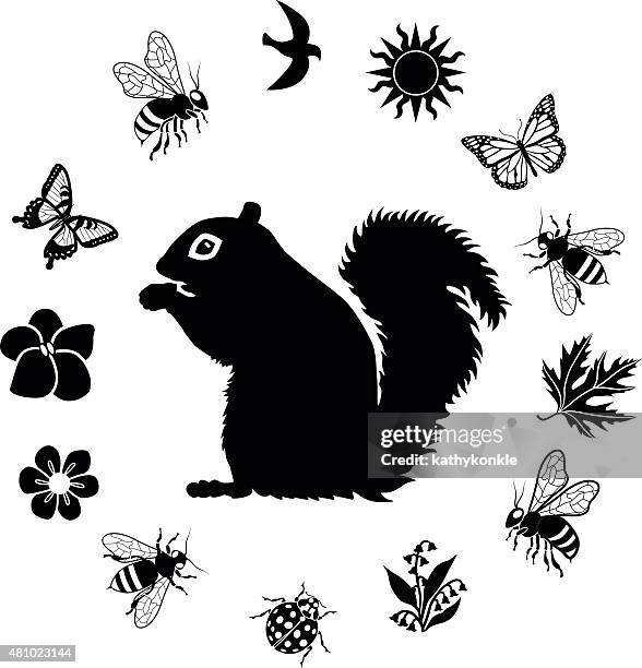 squirrel surrounded by nature border in black and white - maple leaf border stock illustrations