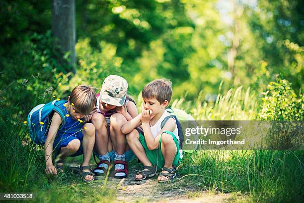 kids observing bugs in forest - child discovering science stockfoto's en -beelden