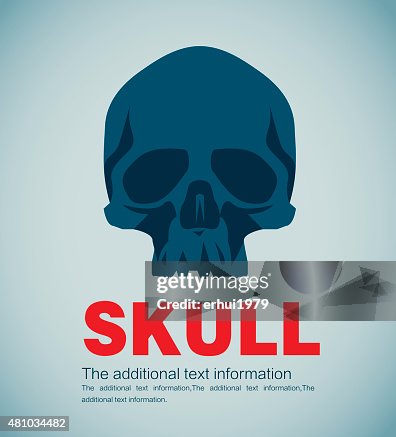 Human Bone Human Bone