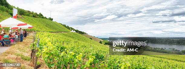 nierstein, rhine, red slope, germany - nierstein stock pictures, royalty-free photos & images