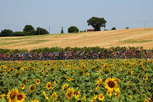 FRA: Le Tour de France 2015 - Stage Thirteen