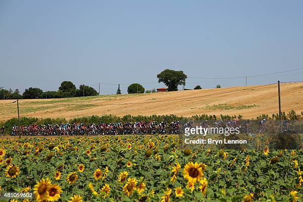 The peloton makes its way through stage thirteen of the 2015 Tour de France, a 198.5 km stage between Muret and Rodez, on July 17, 2015 in Muret,...