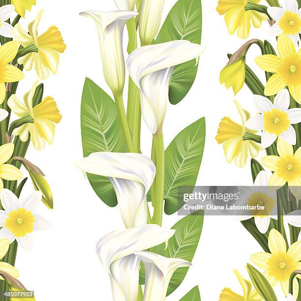 stockillustraties, clipart, cartoons en iconen met calla lilly and daffodil seamless pattern - narcis