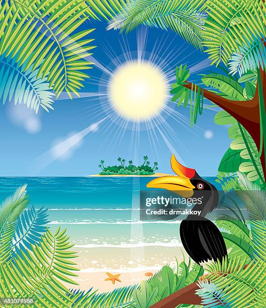 stockillustraties, clipart, cartoons en iconen met tropical rainforest - kalimantan