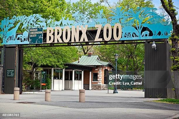 ingresso zoo del bronx - bronx zoo foto e immagini stock