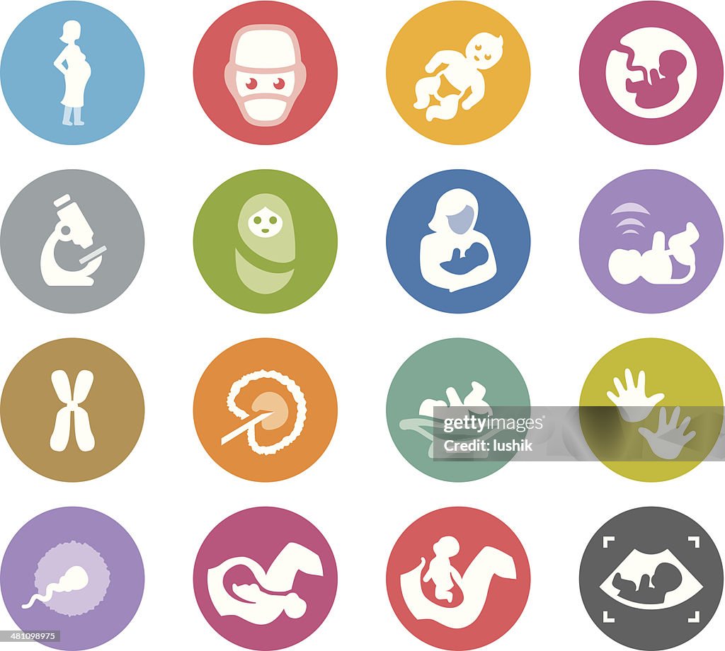 La concepción, embarazo, el nacimiento y principios de vida