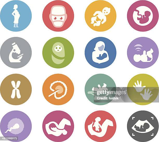 stockillustraties, clipart, cartoons en iconen met conception, pregnancy, birth and early life - artificial insemination