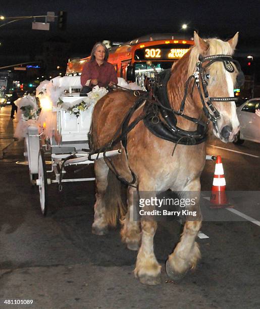 General view of atmosphere of Horse and Buggy Macy Gray arrived in at the Los Angeles premiere of 'Tyler Perry's The Single Moms Club' held on March...