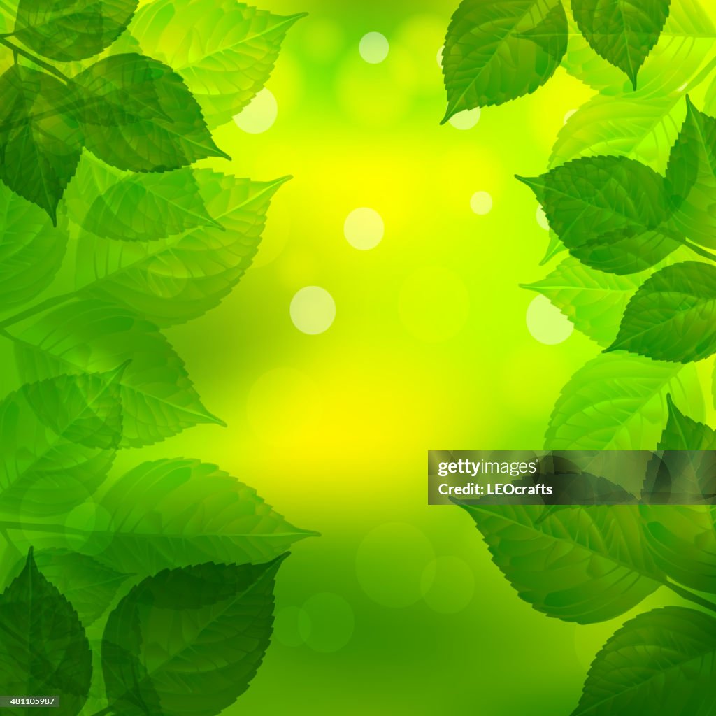 Spring Background High-Res Vector Graphic - Getty Images