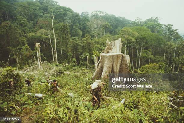 Soldiers of the Sandinista Popular Army in the Bosawas tropical forest, Nicaragua, 1987. One of the effects of the Contra War has been deforestation...