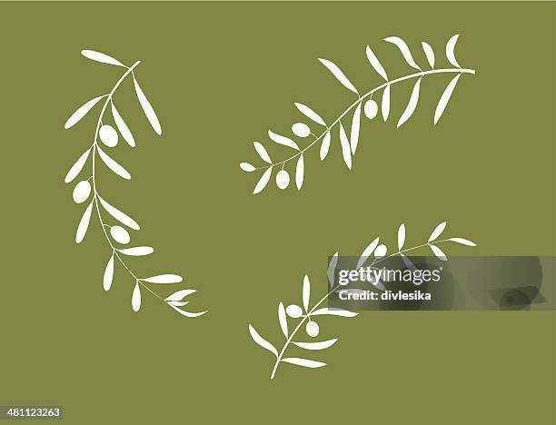 ilustraciones, imágenes clip art, dibujos animados e iconos de stock de olive branch - rama de olivo