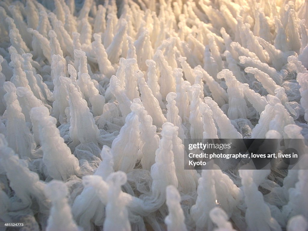 Shibori