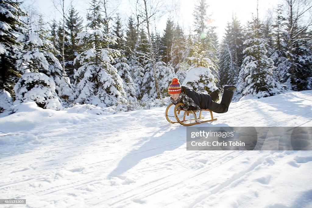 Woman sledding in the snowy woods