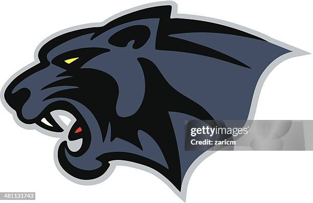 642点の黒豹のストックフォト Getty Images 642点の黒豹のストックフォト Getty Images