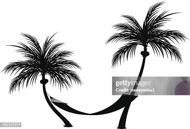 palm tree hängematte - hammock-between-palm-trees stock-grafiken, -clipart, -cartoons und -symbole