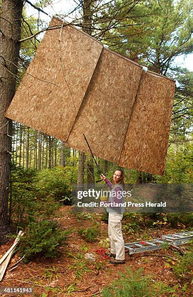 Staff Photo by Gordon Chibroski, Wednesday, September 24, 2003: Deborah Whorf put up sheets of particle board to catch recent stray bullets from the...