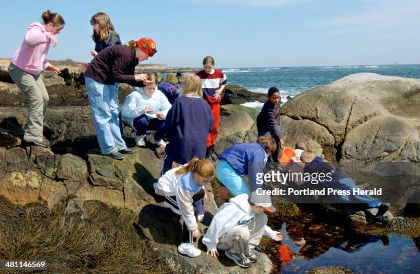 Staff Photo by John Ewing, Thursday, April 10, 2003: Fifth grade students from South Portland's Dyer Elementary School learn about the ecology of...