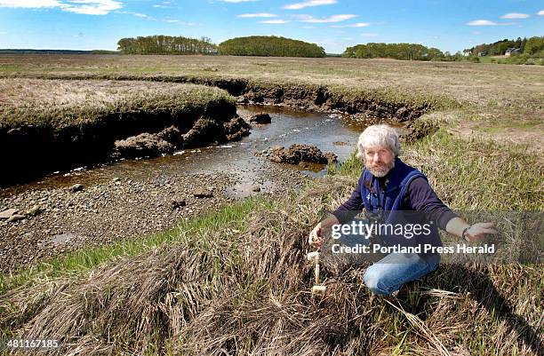 Staff Photo by Fred J. Field, Monday, May 20, 2002: Robert Buchsbaum expains the water salinity monitoring program underway at the Argilla marsh in...