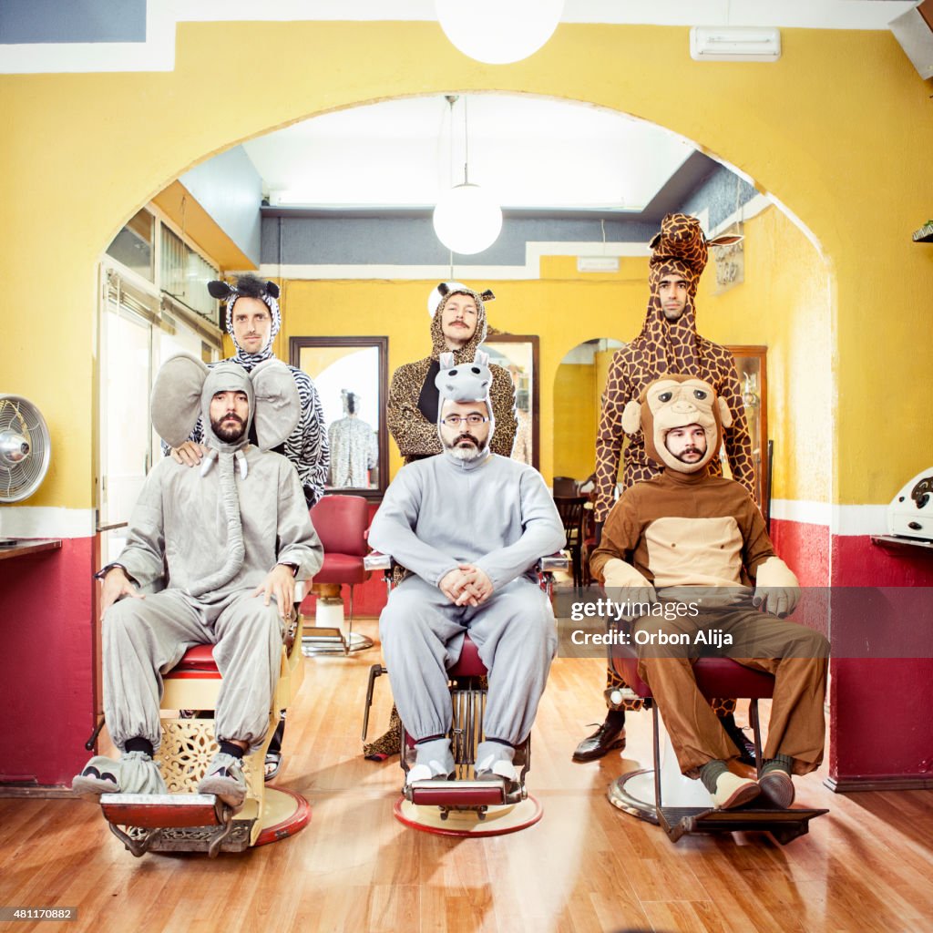 Animals in a Hair Salon