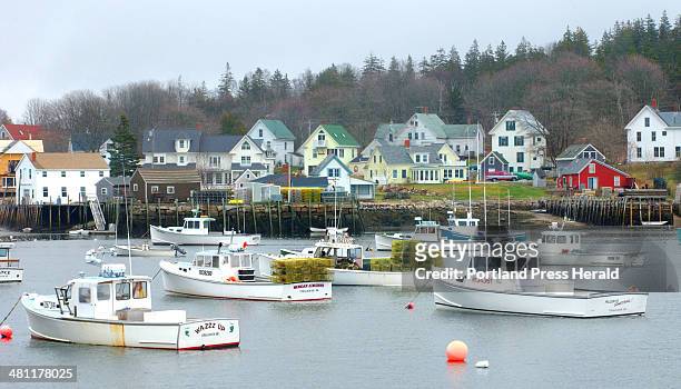 Staff Photo by John Ewing, Fri, Apr 25, 2003: Carver's harbor on Vinalhaven is filled with lobster boats and the village is a classic Maine fishing...