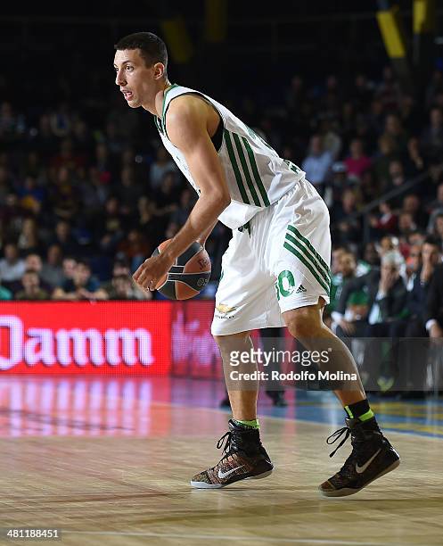 Roko Ukic, #10 of Panathinaikos Athens in action during the 2013-2014 Turkish Airlines Euroleague Top 16 Date 12 game between FC Barcelona Regal v...