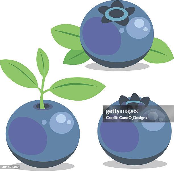 Blueberry Cartoon High-Res Vector Graphic - Getty Images