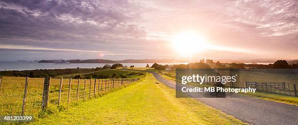 beautiful new zealand - région du northland photos et images de collection