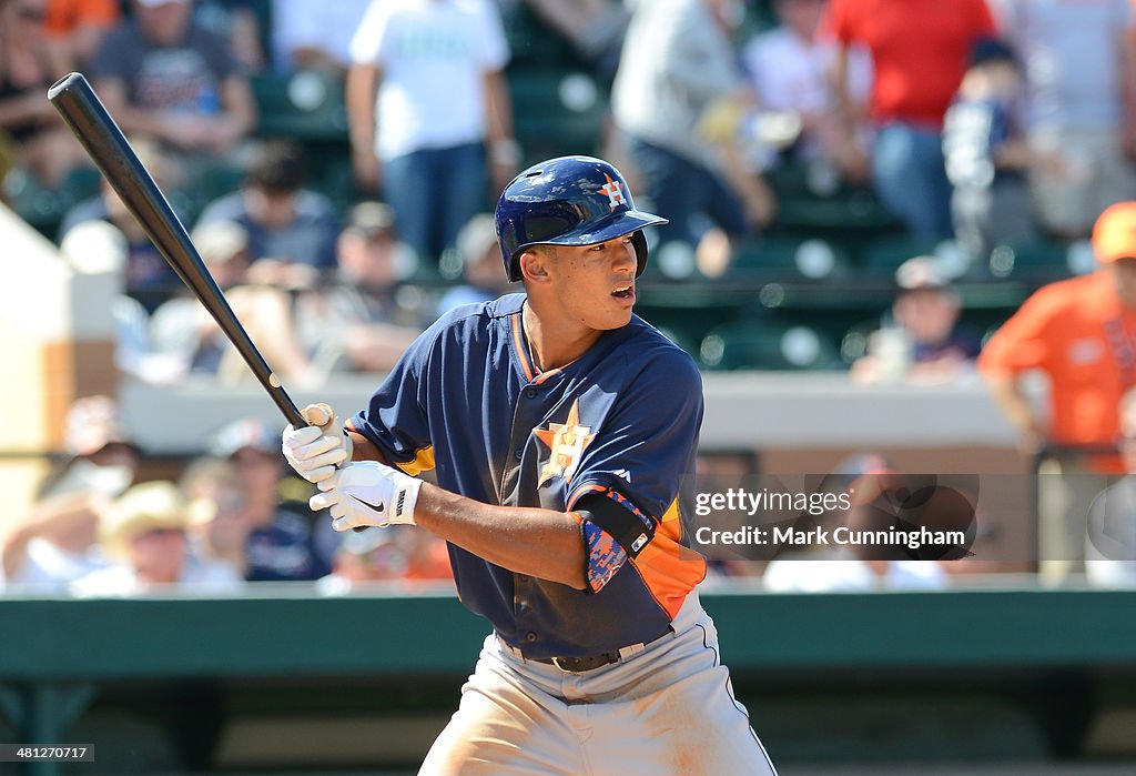 Houston Astros v Detroit Tigers