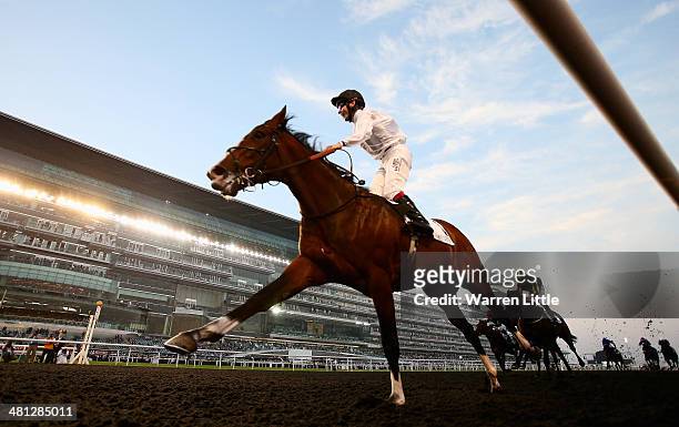Toast of New York ridden by Jamie Spencer wins the UAE Derby during the Dubai World Cup at the Meydan Racecourse on March 29, 2014 in Dubai, United...