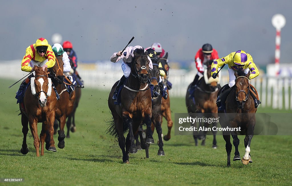 Doncaster Races