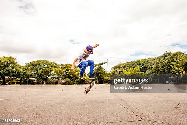 a scene from ibirapuera park in sao paulo brazil. - ibirapuera park stockfoto's en -beelden