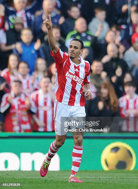 Peter Odemwingie of Stoke City celebrates his goal during the Barclays Premier League match between Stoke City and Hull City at Britannia Stadium on...