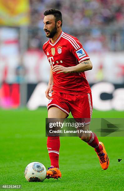 Diego Contento of Muenchen in action during the Bundesliga match between FC Bayern Muenchen and 1899 Hoffenheim at Allianz Arena on March 29, 2014 in...