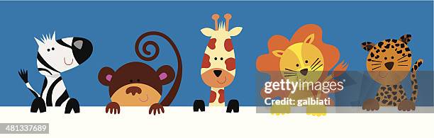 group of wild animals - jaguar cat stock illustrations