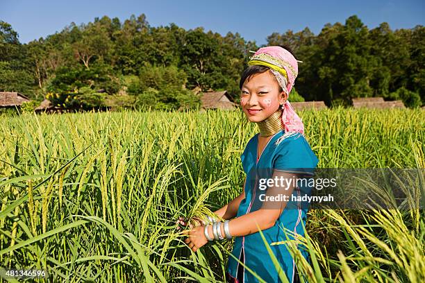 portrait of woman from long neck karen tribe - padaung stock pictures, royalty-free photos & images