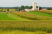 Harvesting's time. Farms & fields, Pennsylvania Dutch Country, Lancaster county