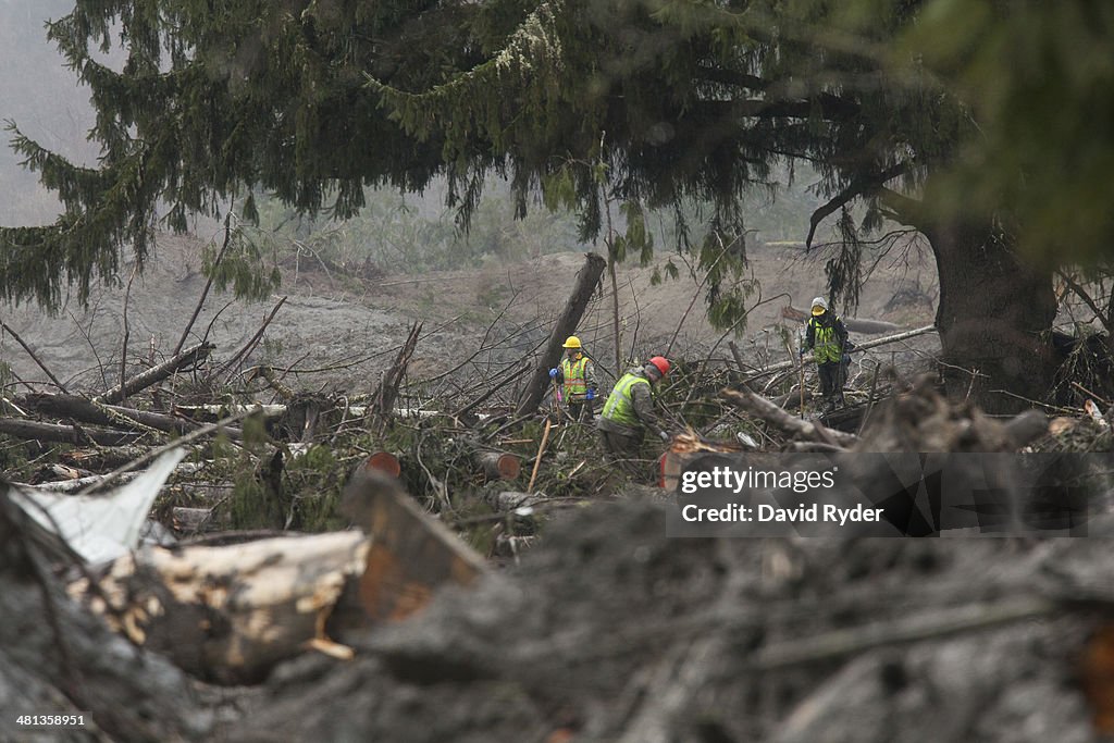 Death Toll Continues To Mount After Massive Washington Mudslide