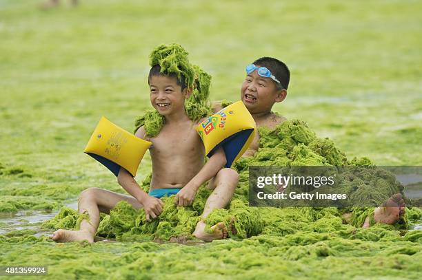 Children play at a beach covered by a thick layer of green algae on July 20, 2015 in Qingdao, China. A large quantity of non-poisonous green seaweed,...