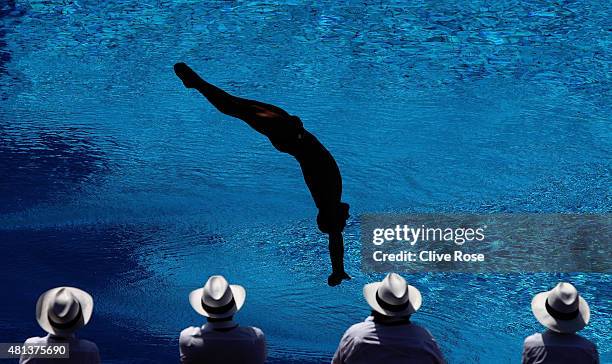 Alexandre Despatie of Canada competes in the Men's 3m Springboard Final during the 13th FINA World Championships at Stadio del Nuoto on July 23, 2009...