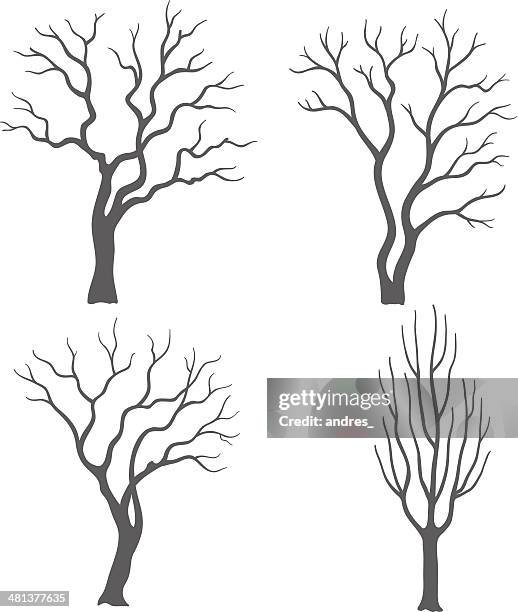 1 722点の葉のない木イラスト素材 Getty Images 1 722点の葉のない木イラスト素材 Getty Images