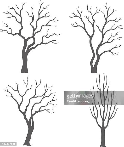 stockillustraties, clipart, cartoons en iconen met tree silhouettes - tree trunk