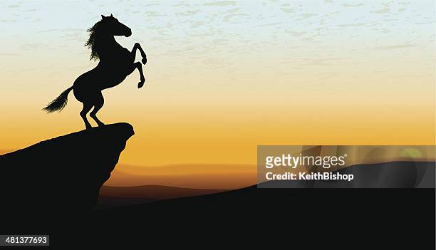 wild stallion at dawn or dusk background - animals in the wild stock illustrations