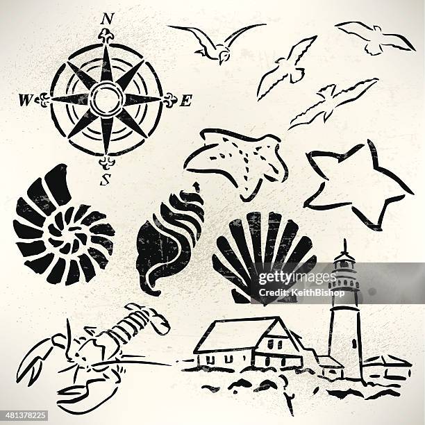 beach items, lighthouse, seashell, lobster, seagulls, compass - collecting shells stock illustrations