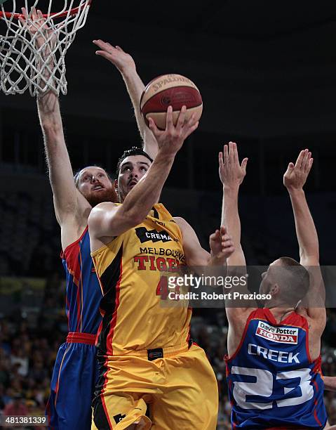 Chris Goulding of the Tigers drives to the basket during game two of the NBL Semi Final series between the Melbourne Tigers and the Adelaide 36ers at...